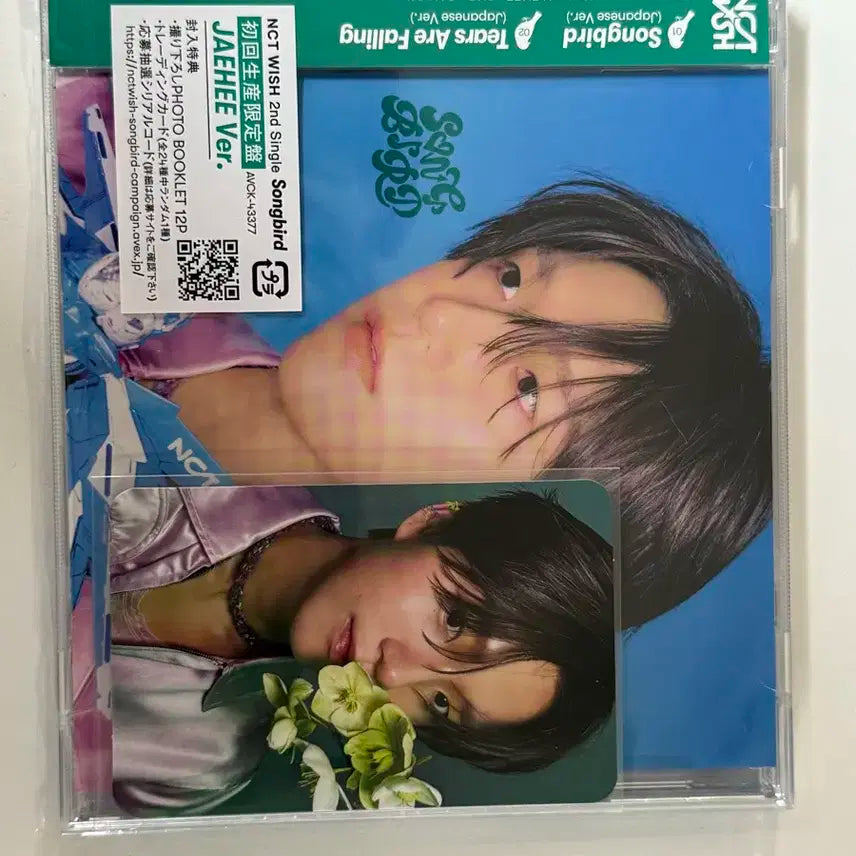 엔시티 위시 송버드 일본반 초회판 재희버전