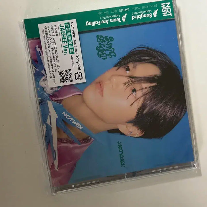 엔시티 위시 송버드 일본반 초회판 재희버전