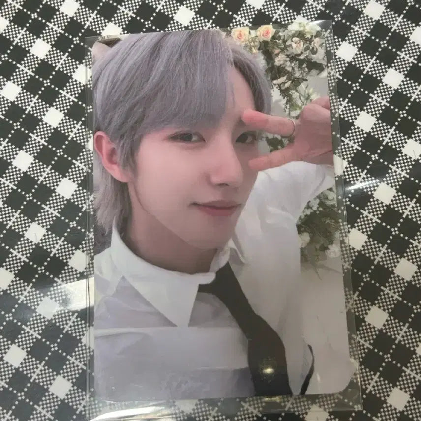 Istj 에버라인 런쥔 포토카드