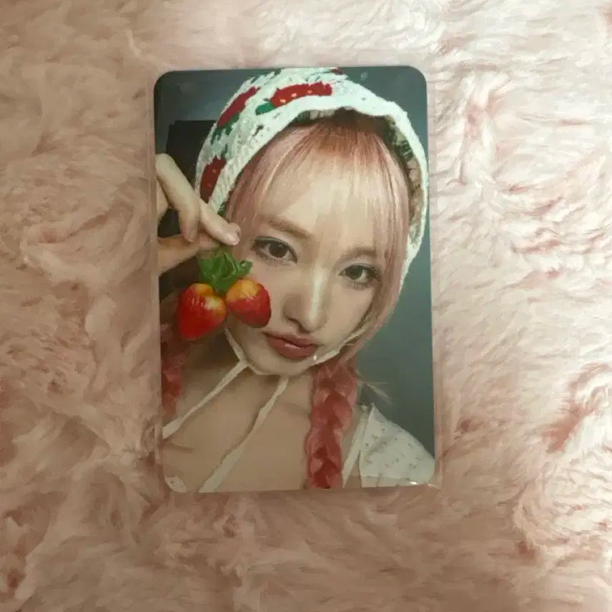 리즈 딸기 포토카드