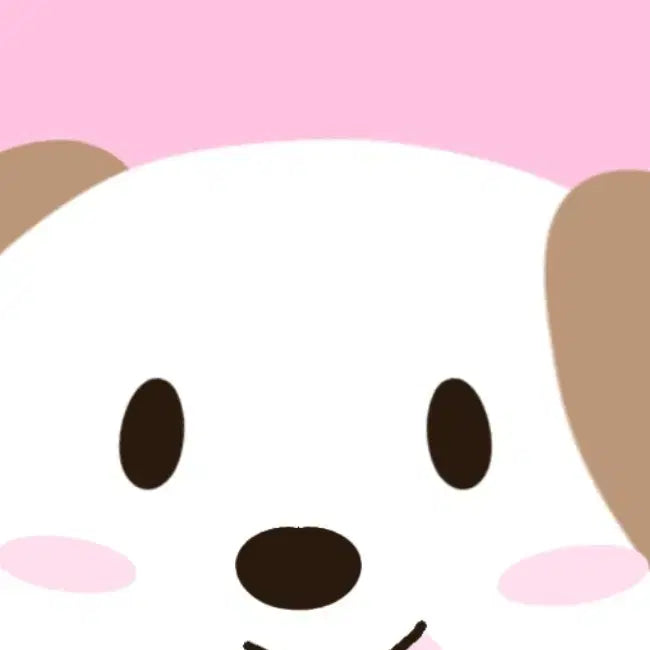 라이즈 비공굿 담요 예약(10월)