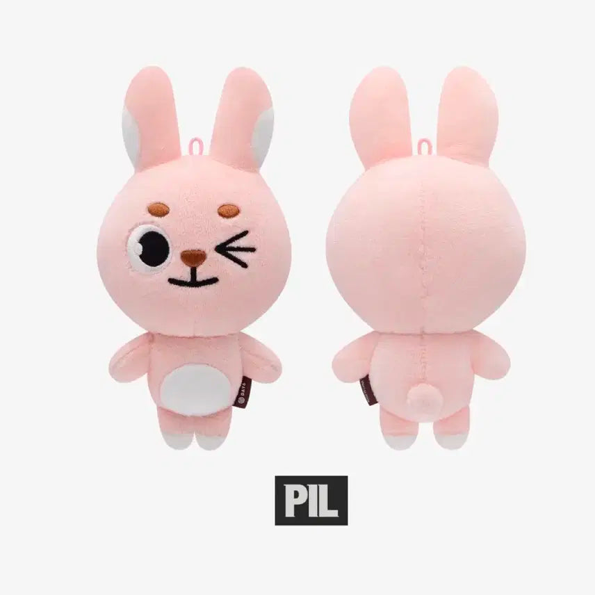 데이식스 데니멀즈 19필 필끼 윙크 필 윙끼 양도