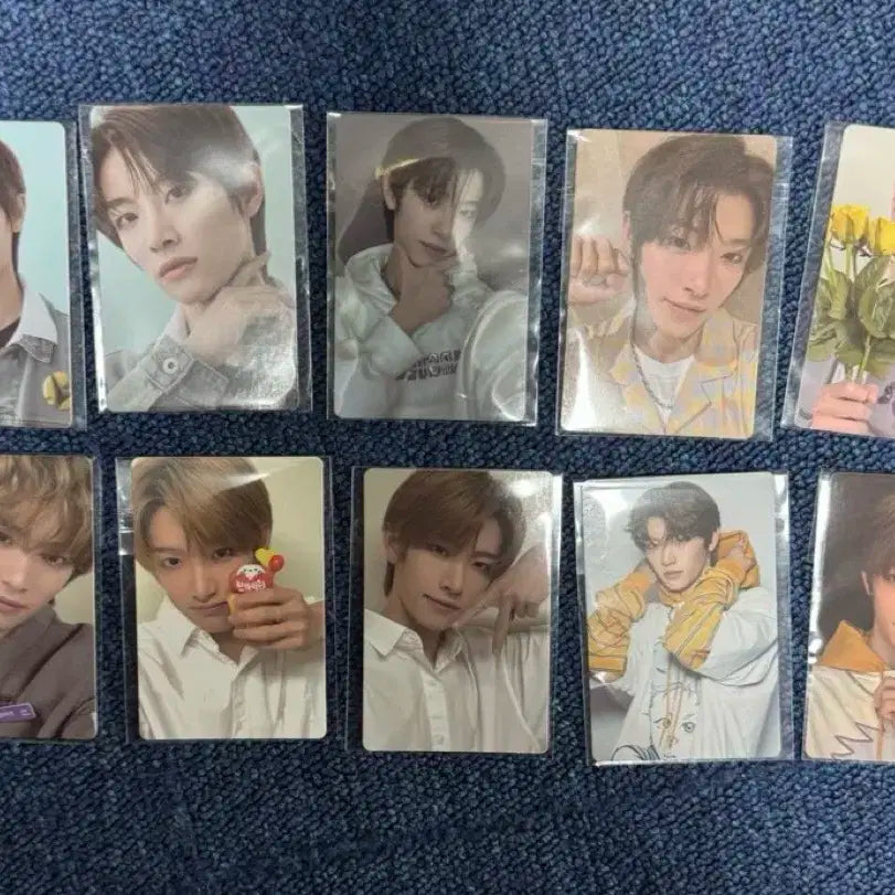 보플 2주차 전시회 천카이원 포카 세트