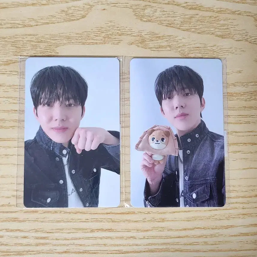 일괄) 데이식스 피날레콘 온라인 4만원포카 도운