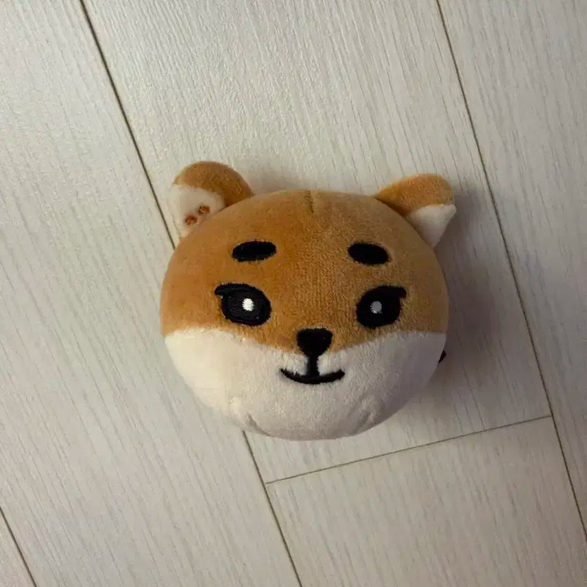 데이식스 스트레스볼 케 양도