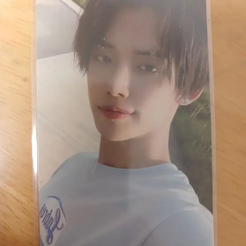 혼돈의장 연준