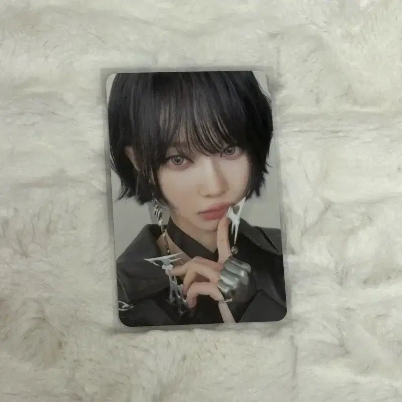 에스파 윈터 위플래시 앨포 포카 포토카드