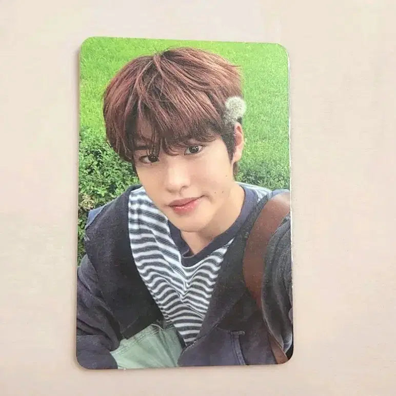 라이즈 에필로그 소희 민들레포카