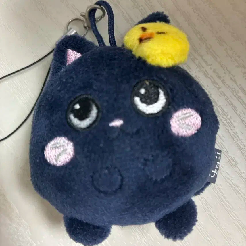토냥덕