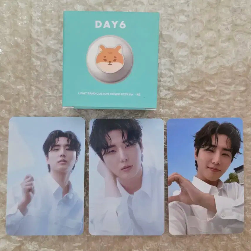 데이식스 데니멀즈 쁘띠멀즈 커스텀 커버 케