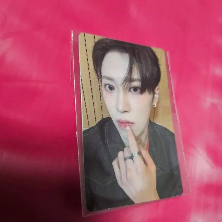 아르노 장지아하오 팝업2차 포카