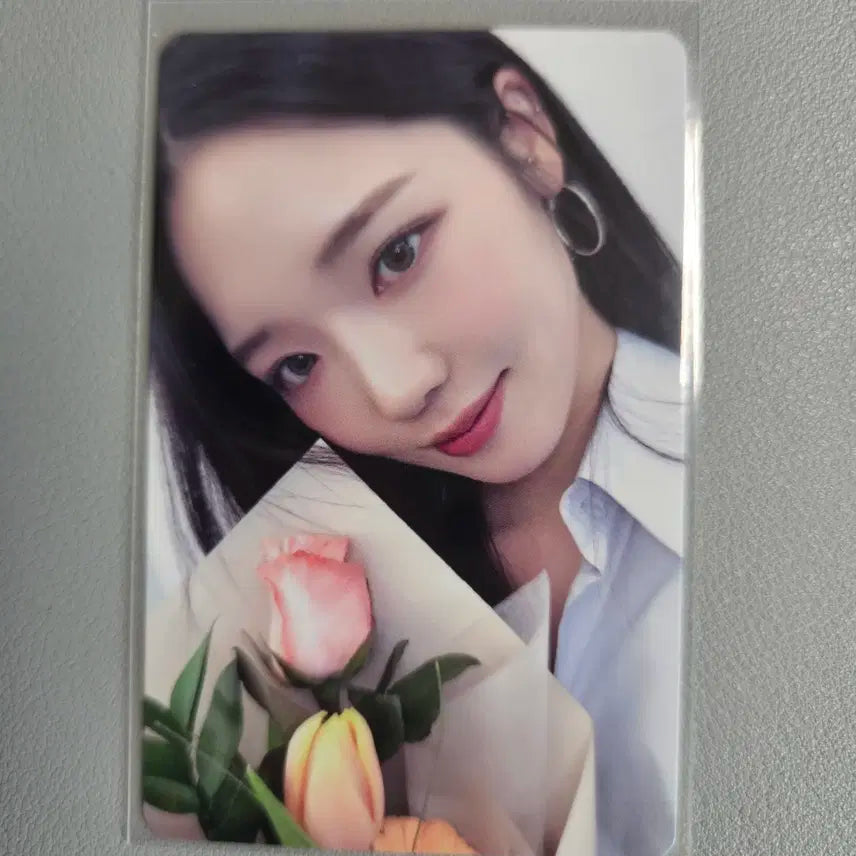 프로미스나인 플로버가든 노지선포카 지선 포카