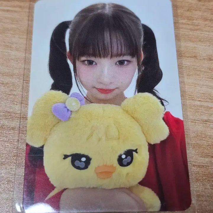 아이브 레이포카