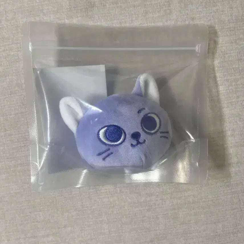 보넥도 보이넥스트도어 쁘넥도 노장르 캣삐