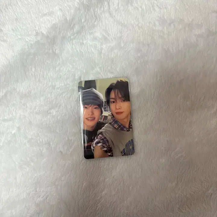 소희 성찬 유닛포카 밤똘즈 포카 양도