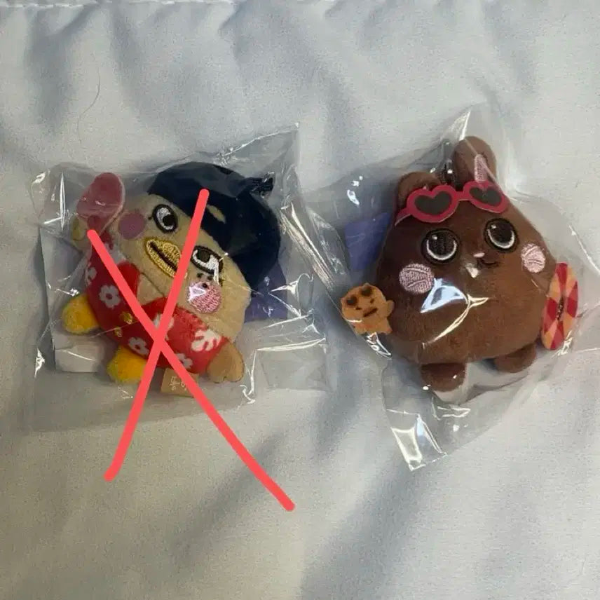 라이즈 태닝 썸머 버정 토냥덕 원빈 양도