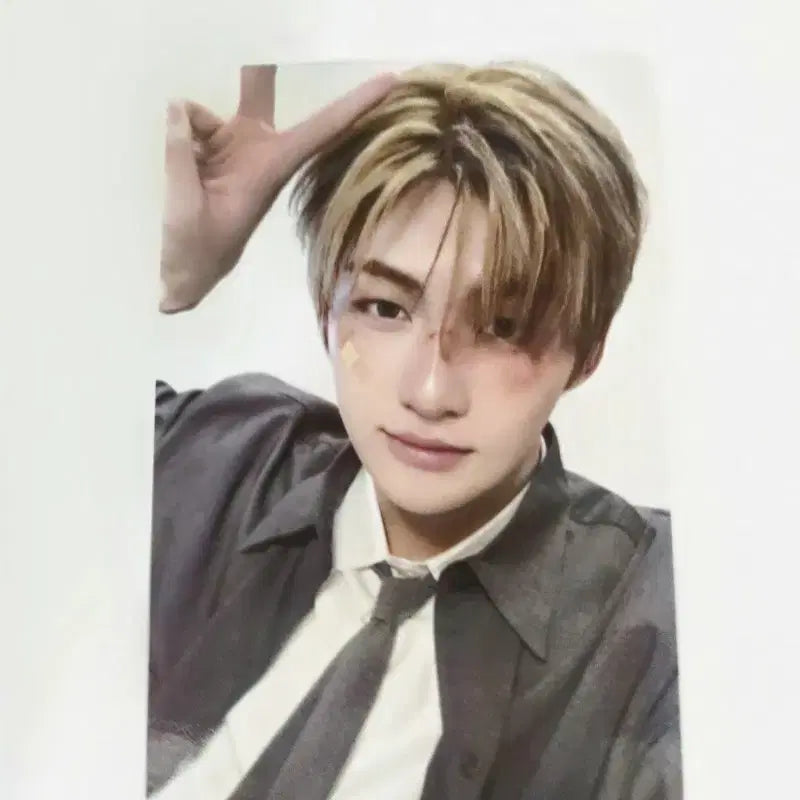 tws 지훈위버스특전포카play hard 앨범포카 투어스