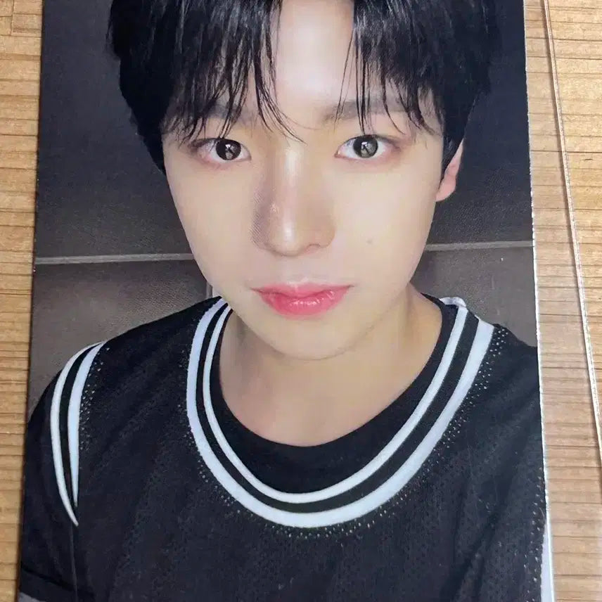 엔시티위시 유우시 Steady QR ver.