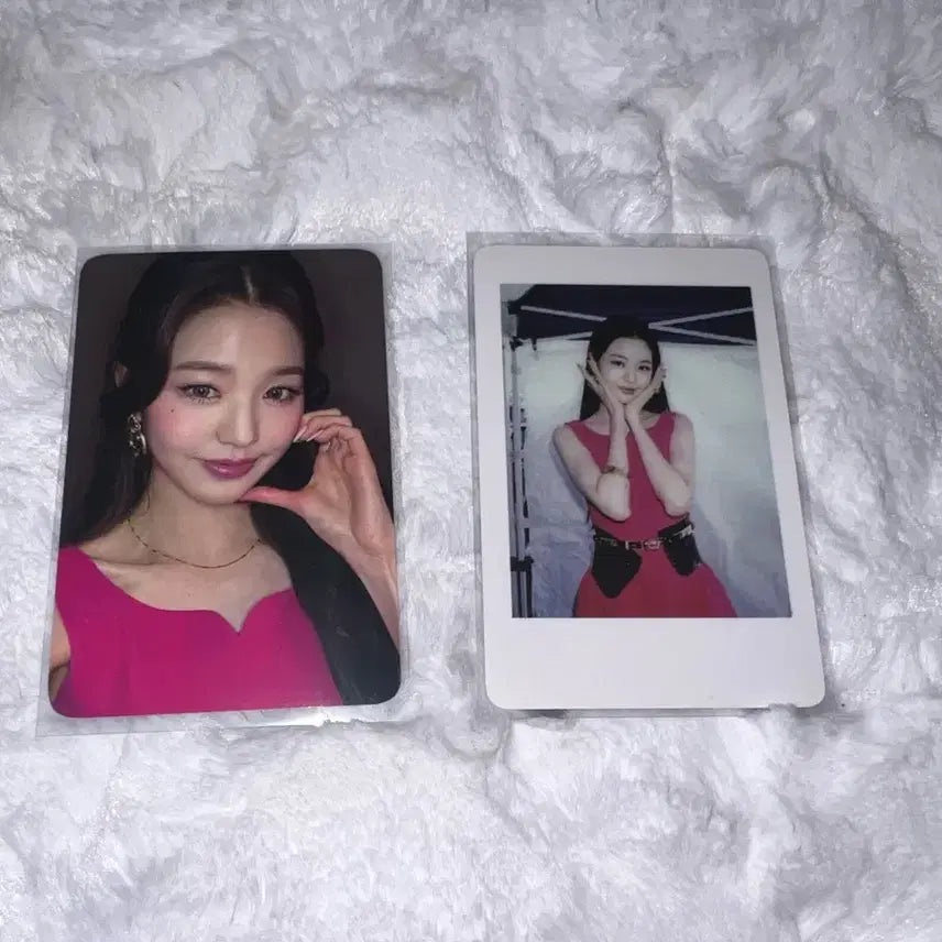 아이브 원영 일레븐 케타포 위드드라마 럭드 폴라 양도