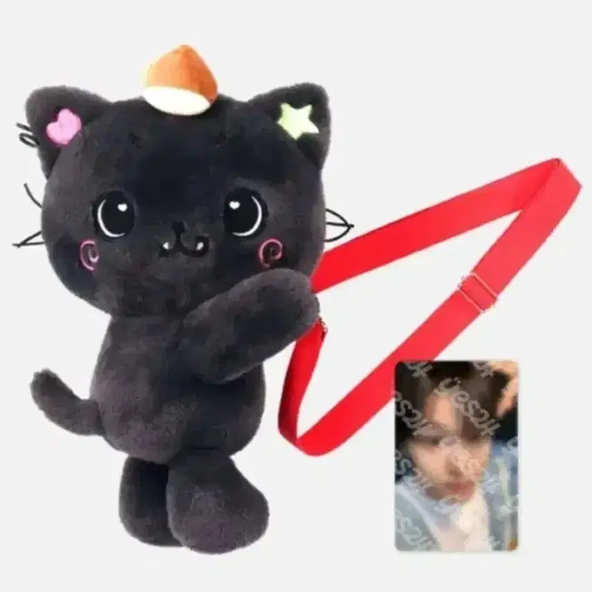 엔시티위시 리쿠 위시돌 쿠리 인형가방