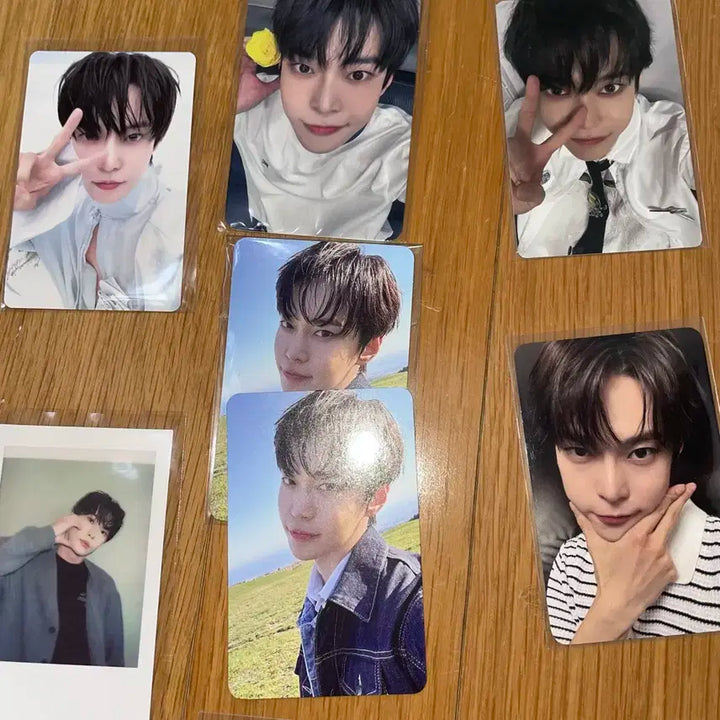 nct 127 엔시티 도영 포카 양도