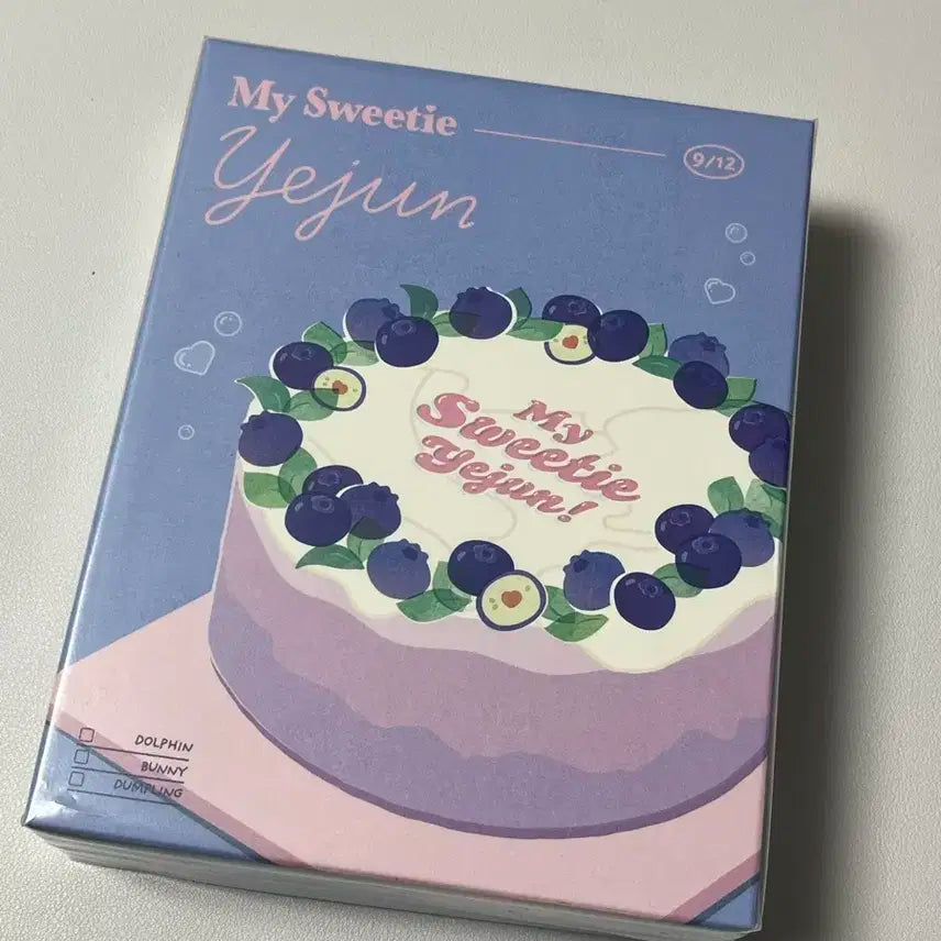 플레이브 예준 2024 생일키트