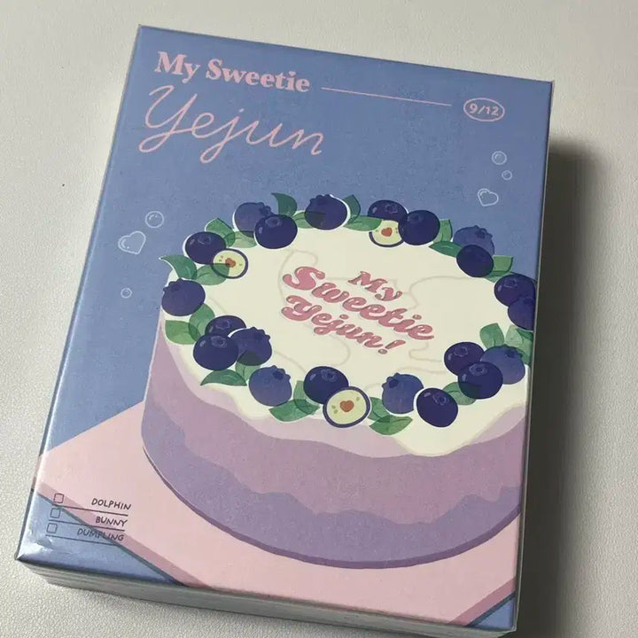 플레이브 예준 2024 생일키트