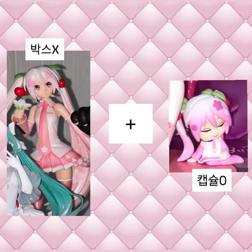 ! (일괄 하츠네 미쿠) 사쿠라 미쿠 피규어 + 가챠 !