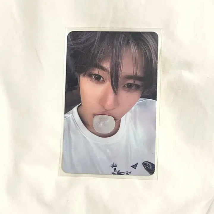 엔시티 위시 팝팝 팝츄 시온 포카 풀셋 풀구성