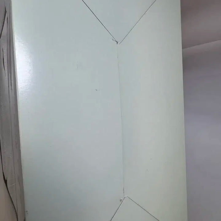 마크로스프론티어 란카 리 마법소녀 파스텔