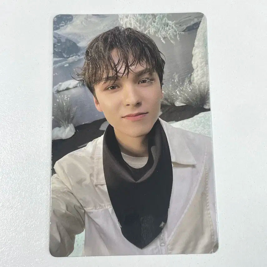 세븐틴 버논 섹터17 앨범 포카 포토카드