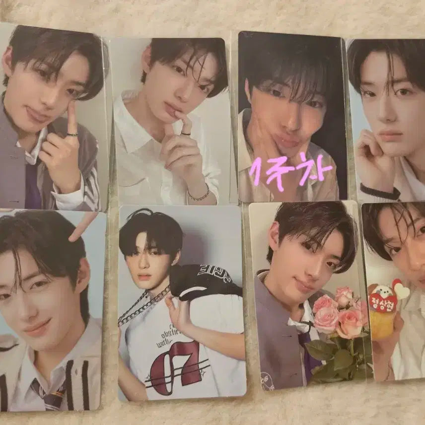 보이즈플래닛2 보플2 전시회 1,2주차 정상현 포카 양도