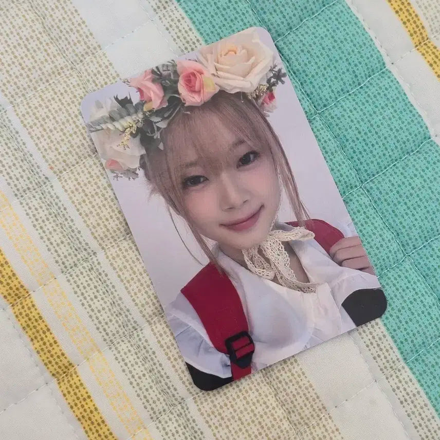 유니스 큐리어스 어린시절 코토코 포카 양도해요