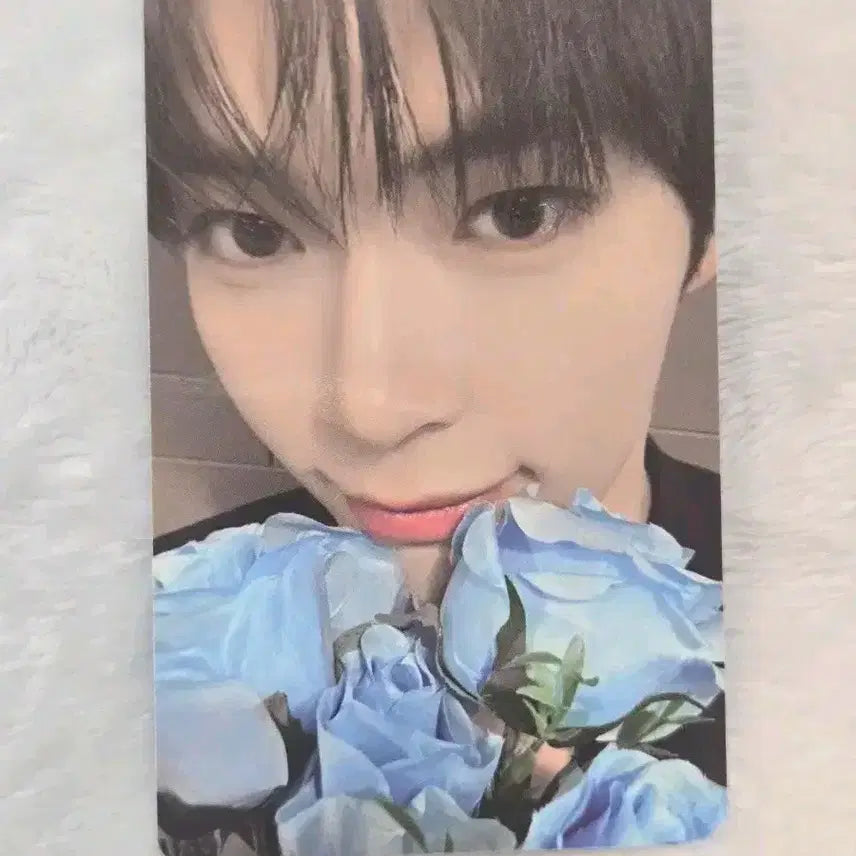 성한빈 2주년 포카 포토카드 제베원 제로베이스원 제로즈 팝업 케이크 특전