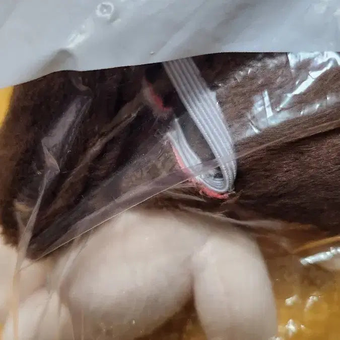 데못죽 테스타 배세진 인형 15깅