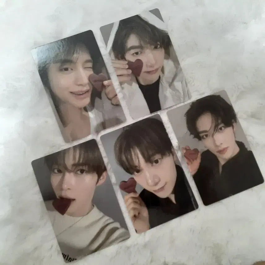 제로베이스원 2주년 카페 쿠키 포카