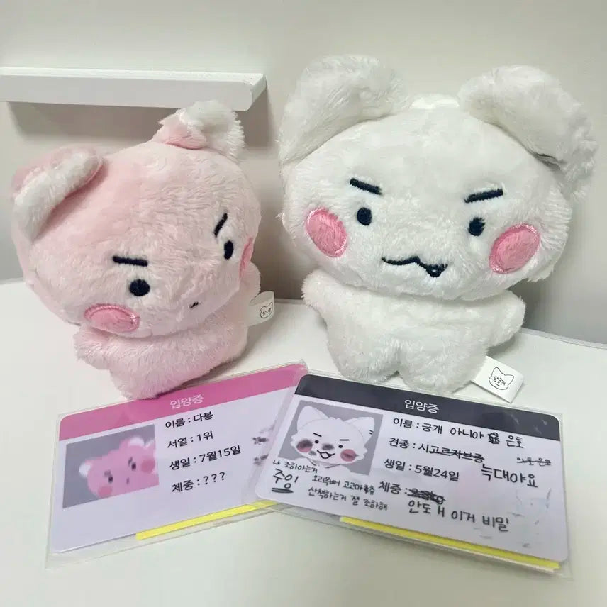 암긍개 암다봉 플레이브 비공식 인형