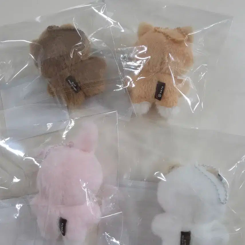 데이식스 데니멀즈 쁘쁘멀 방케필돈 일괄