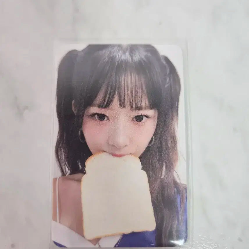 아이브 레이 미공포 식빵포카