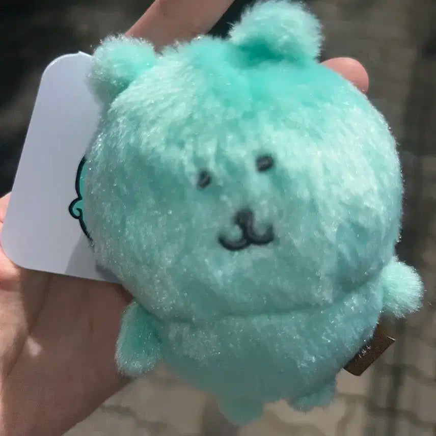 농담곰 팝업 민트곰 컬러곰