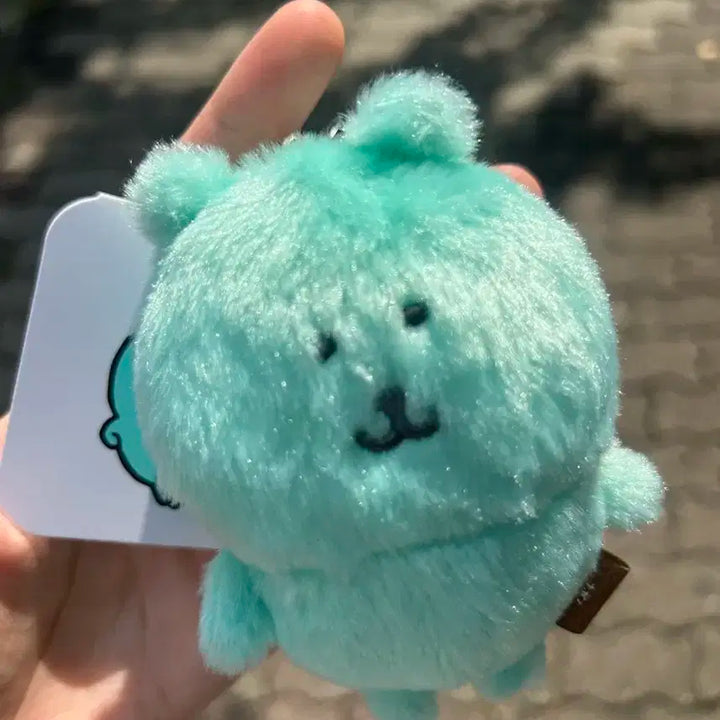 농담곰 팝업 민트곰 컬러곰