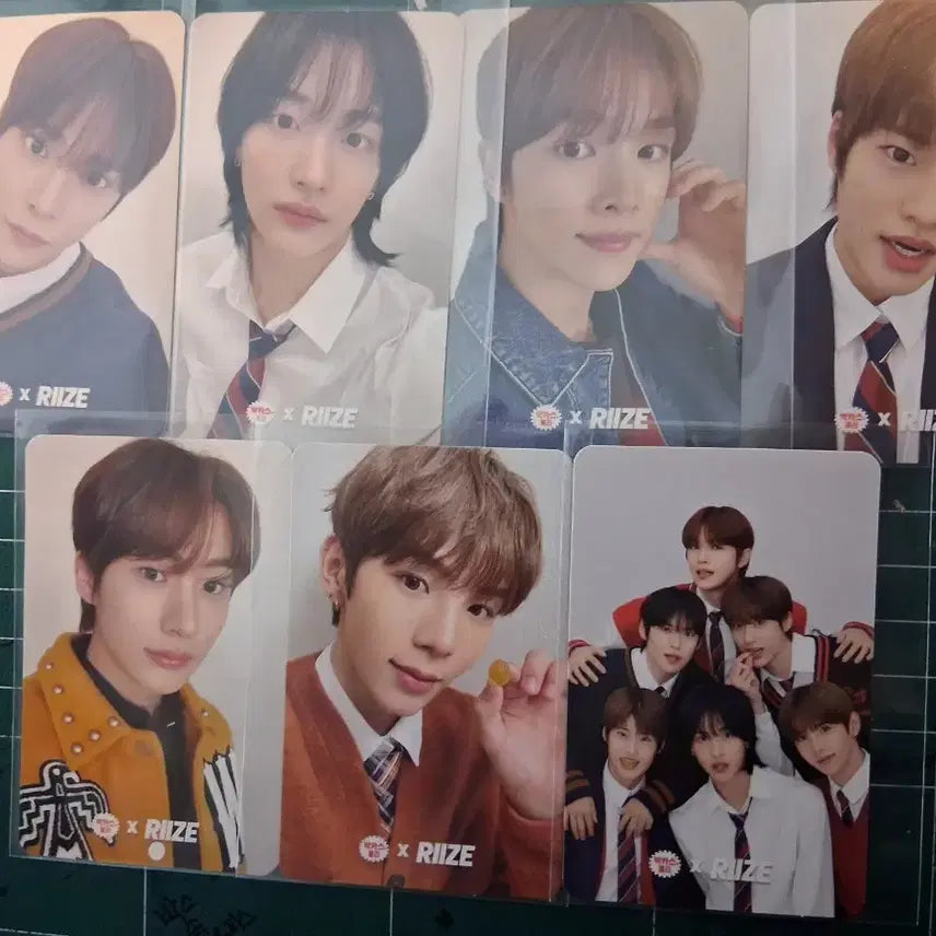 라이즈 박카스 포카 일괄