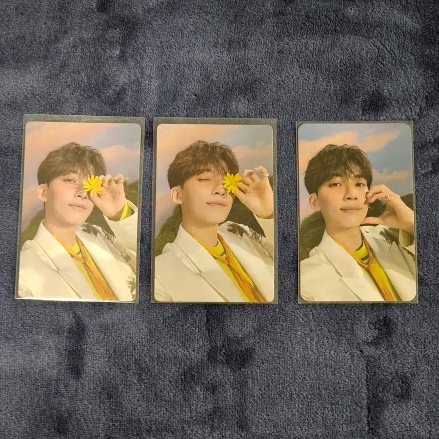 세븐틴 정한 섹터17 sector17 포카 일괄 양도