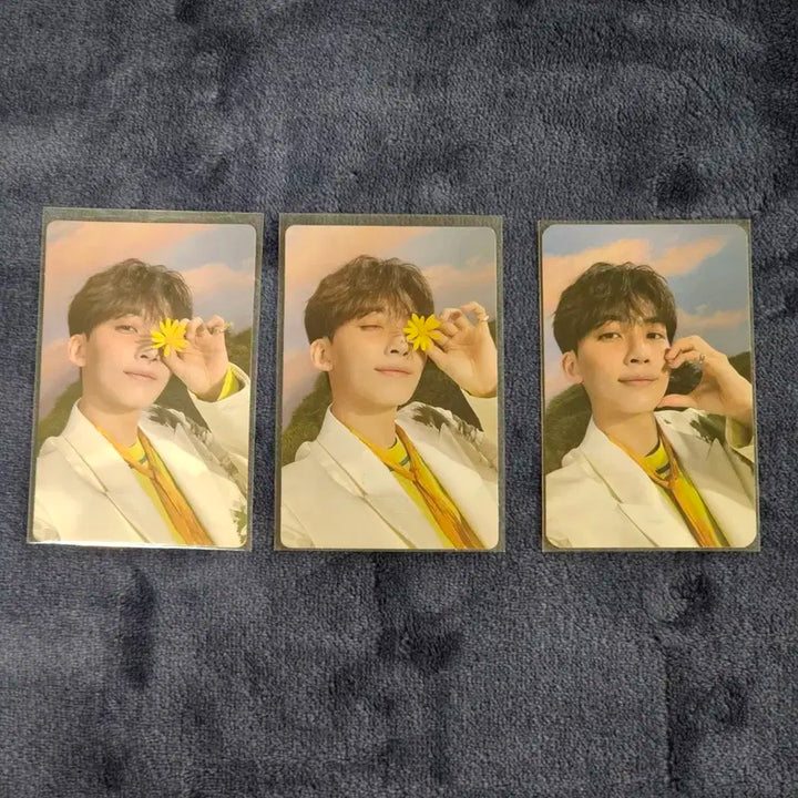 세븐틴 정한 섹터17 sector17 포카 일괄 양도