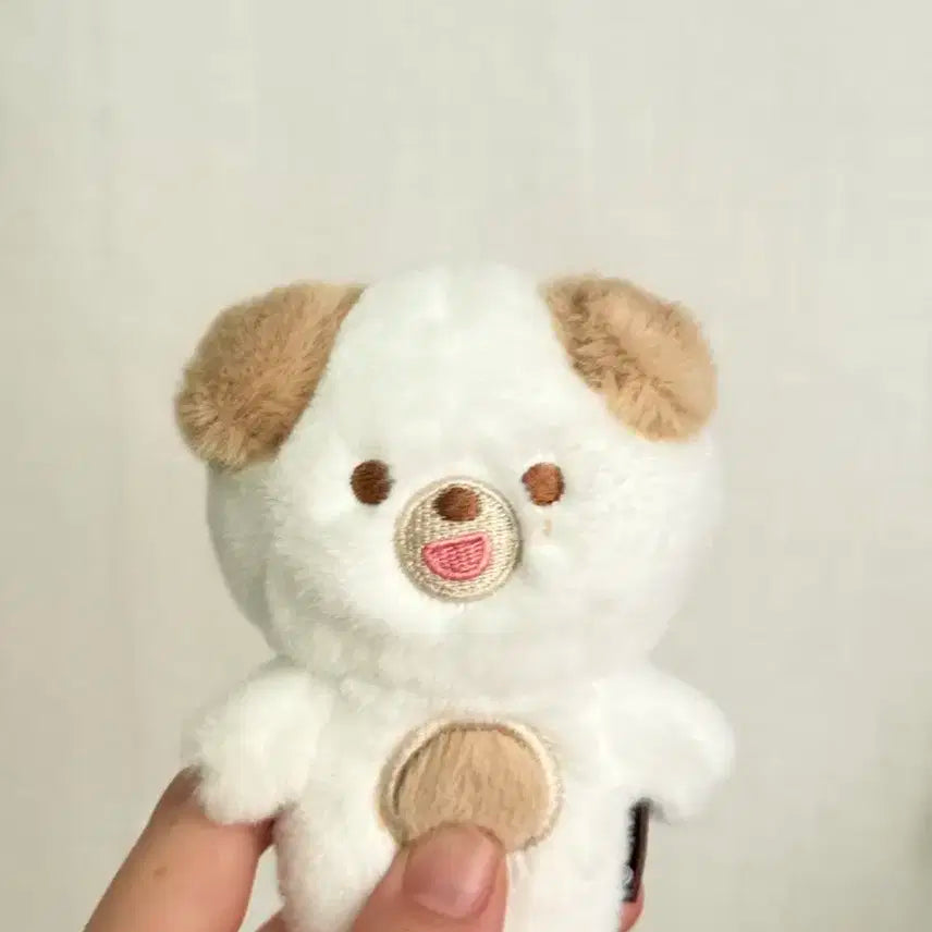 데이식스 쁘띠멀즈 10cm 돈