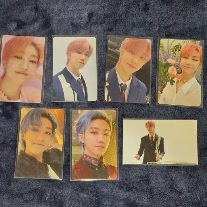 세븐틴 디에잇 the8 드림 포카 회장한정 일괄 양도