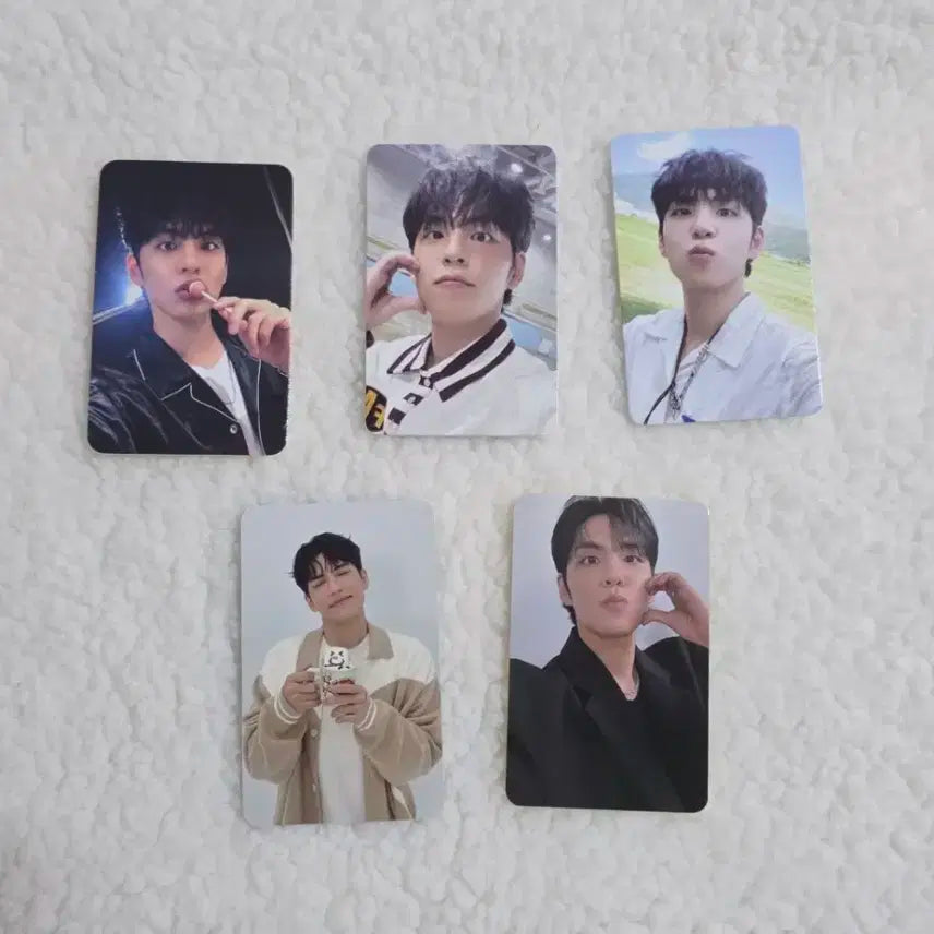 데이식스 원필 포카 일괄 판매