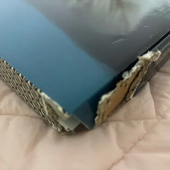 뉴진스 하우스윗 앨범 해린