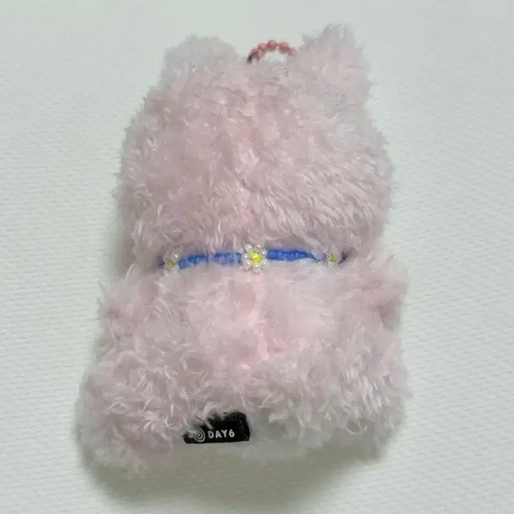 목걸이포함) 앉은 쁘띠멀즈 필끼