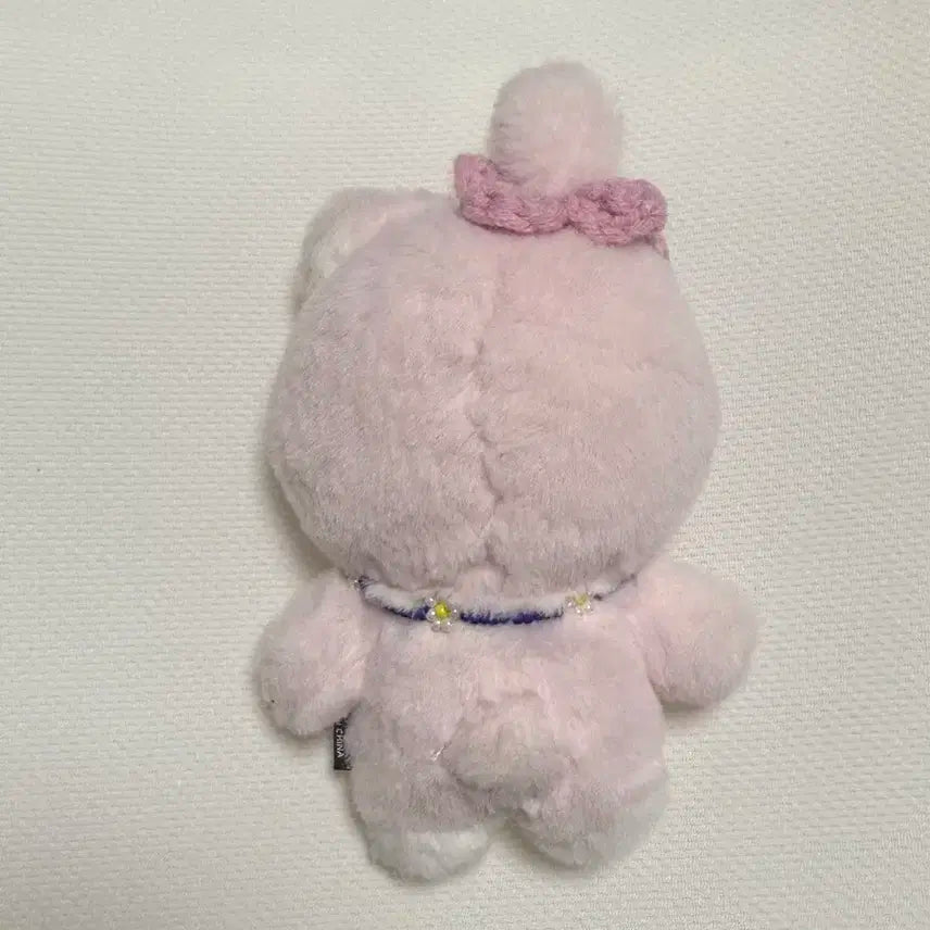 입은거포함) 쁘띠멀즈 필끼